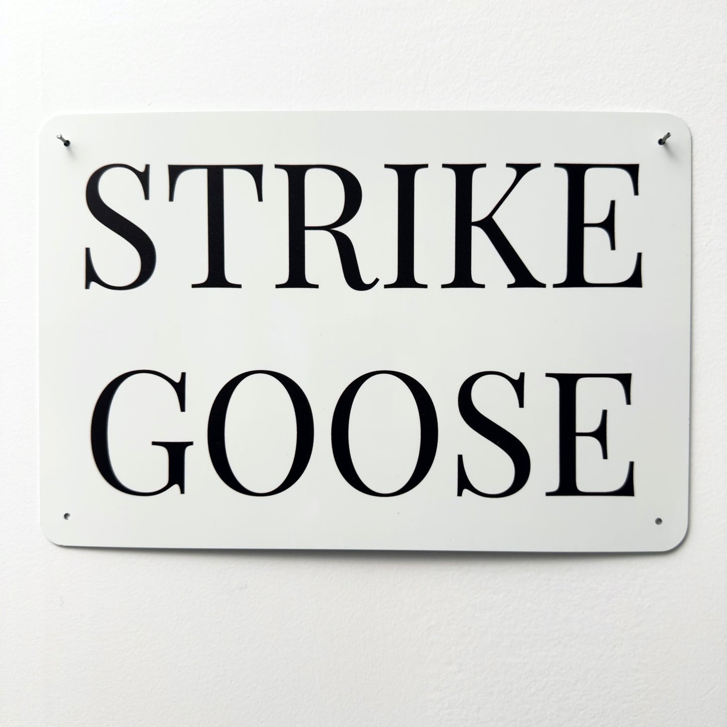 STRIKE GOOSE